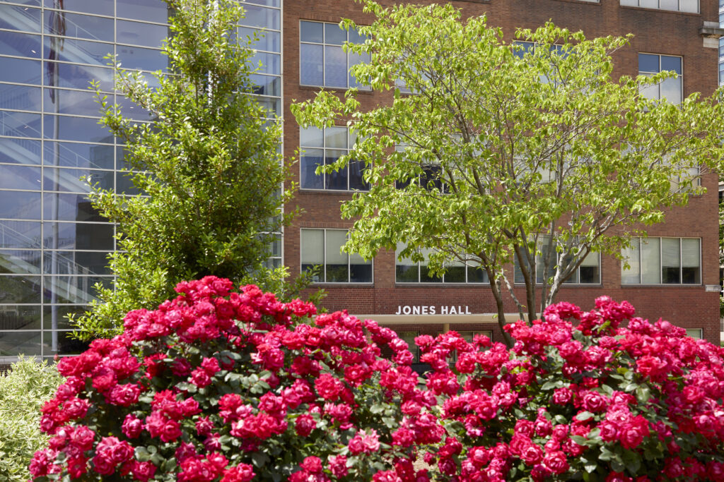 Many UHSP classrooms are located here at Jones Hall.