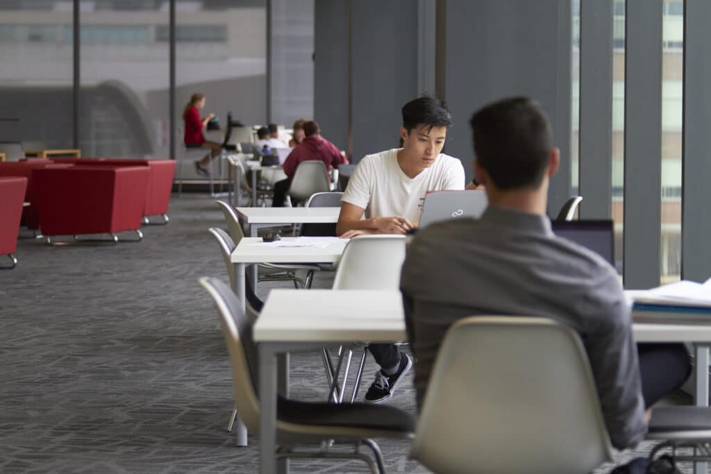 A student works on a laptop in UHSP's library