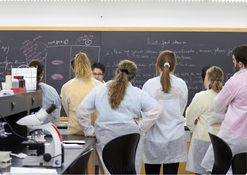 group of students facing a professor standing in front of a board during a class