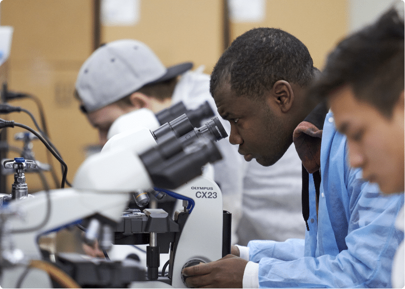 Lab students look through microscopes
