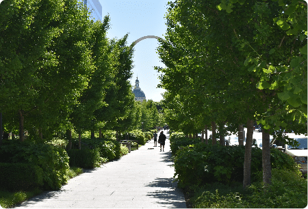 view of Downtown St. Louis from City Garden