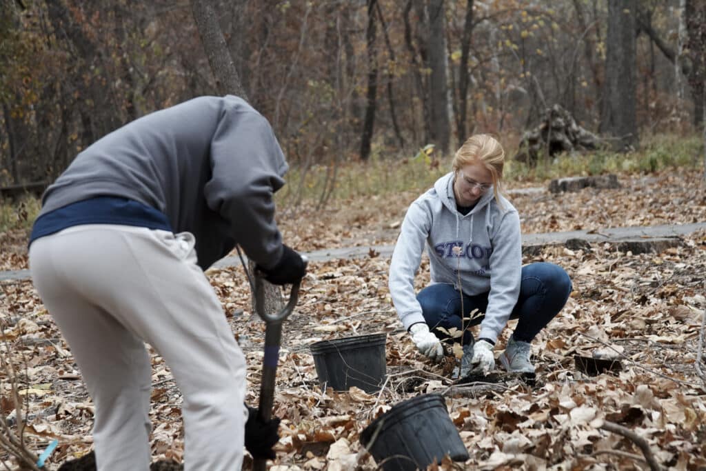 Students plant trees for a University-sponsored service day at a local park