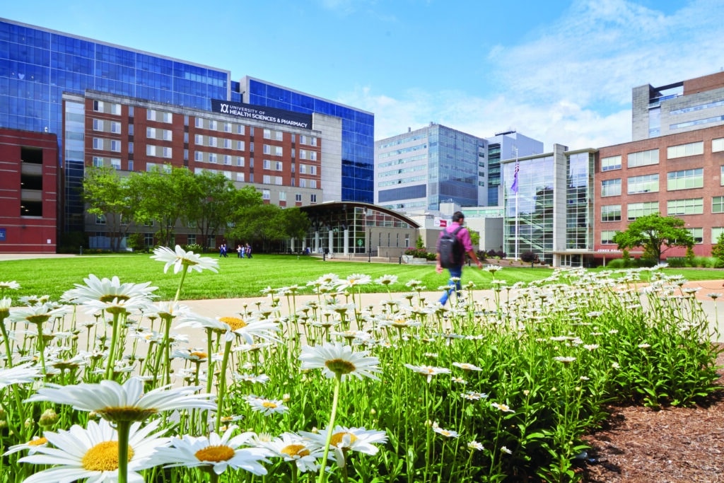 View of the UHSP quad with daisies blooming in the spring