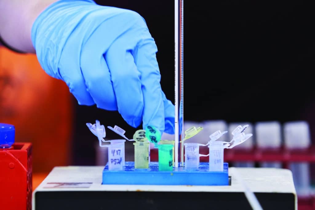 close up of a medically gloved hand picking up small lab samples