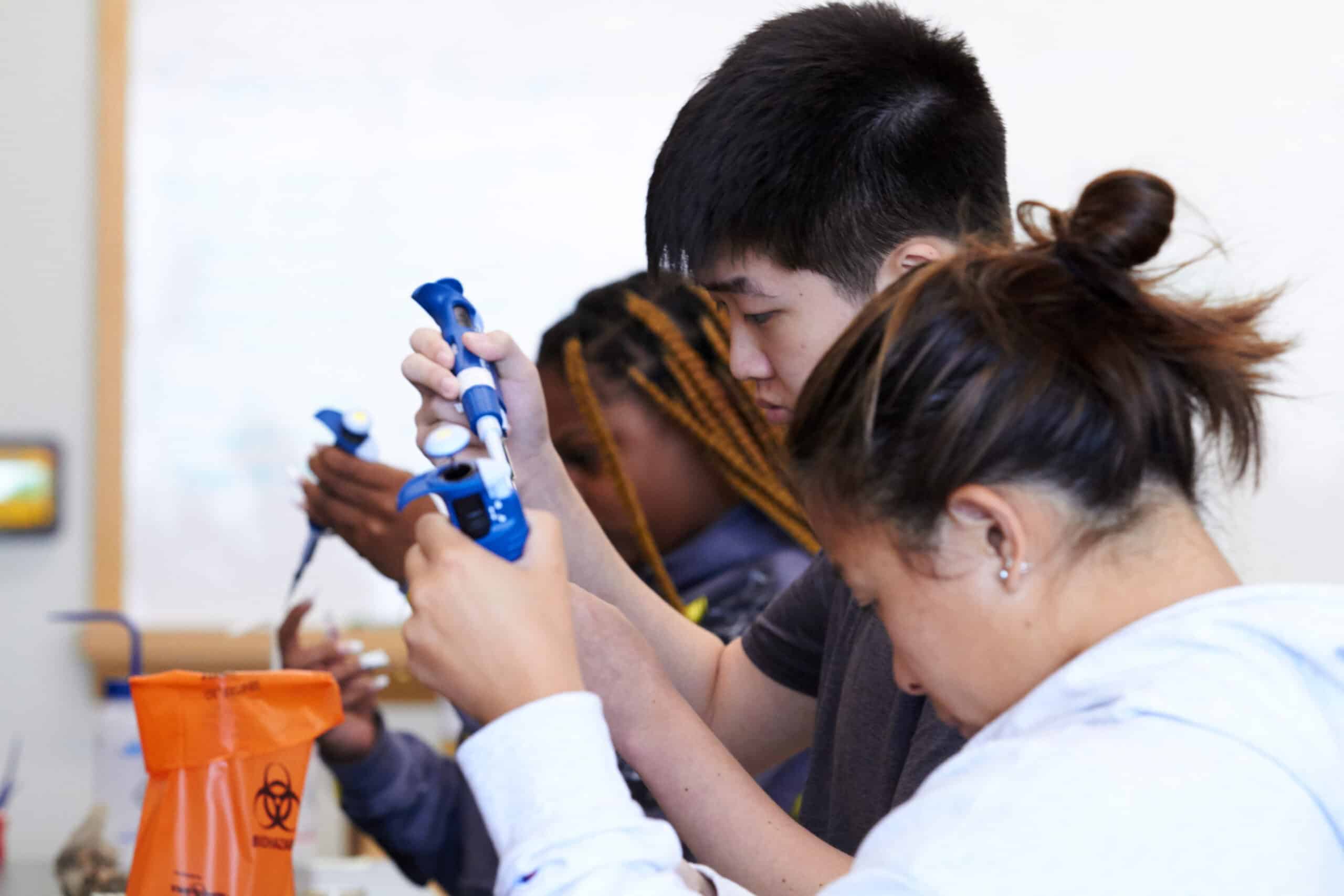 Health Care Summer Immersion Program University Of Health Sciences