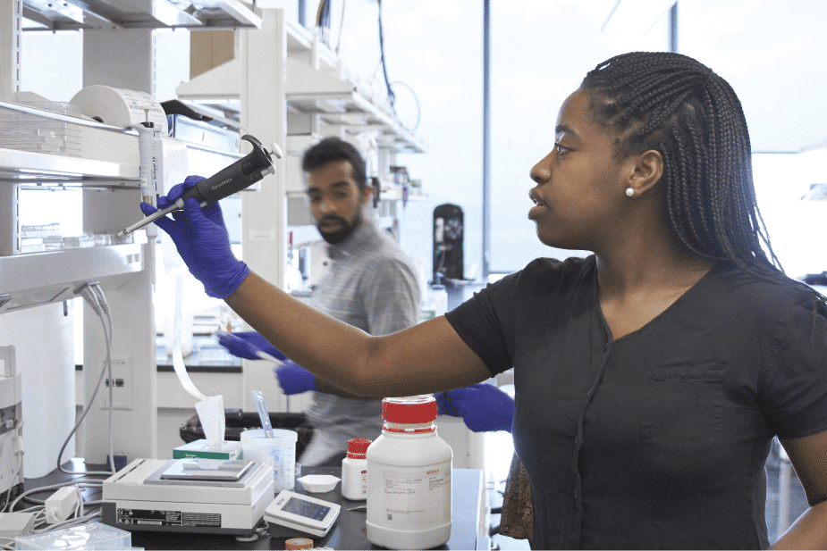 Student conducts research in the lab