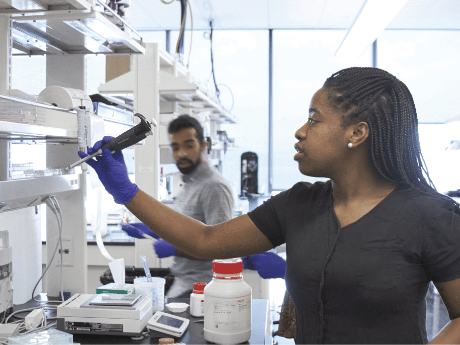 Student conducts research in the lab