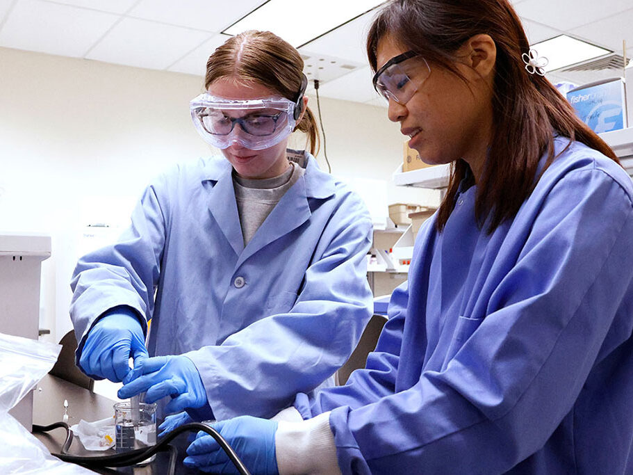 Student researchers work together in the lab